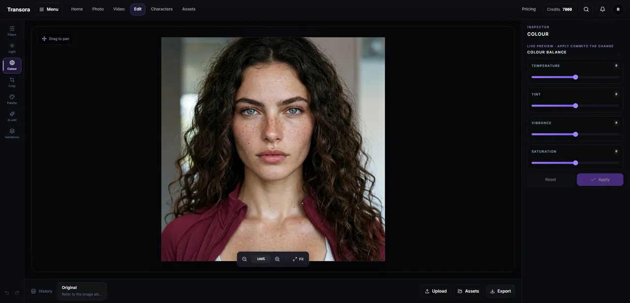 Transora photo editor with masking and adjustment controls beside the working image