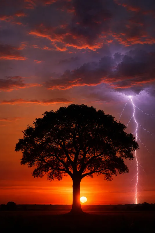 The same tree under cold · dust · lightning